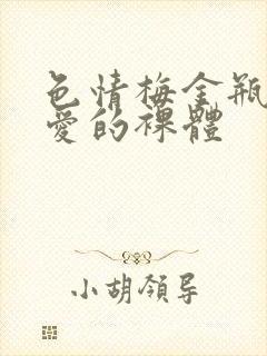 色情梅金瓶2之爱的裸体