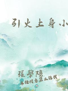 引火上身小说