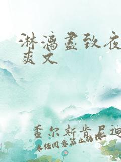 淋漓尽致夜晚小爽文