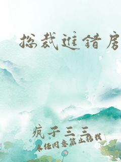 总裁进错房