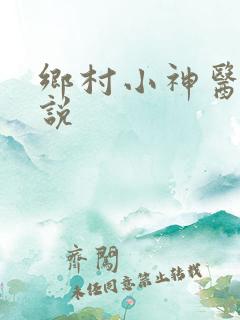 乡村小神医的小说
