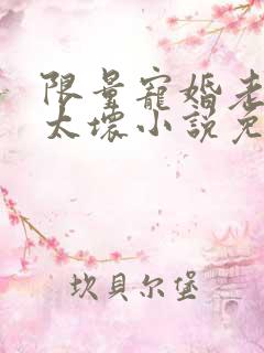 限量宠婚老公别太坏小说免费阅读
