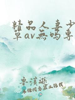 精品人妻少妇嫩草av无吗专区