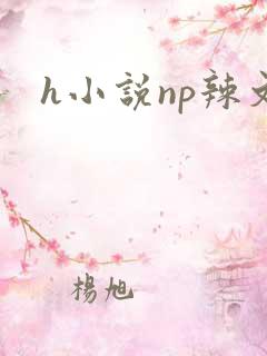 h小说np辣文