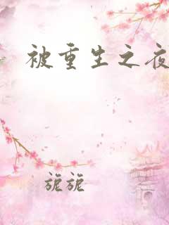 被重生之夜王