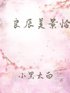 良辰美景恰似你