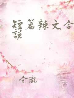 短篇辣文合集小说