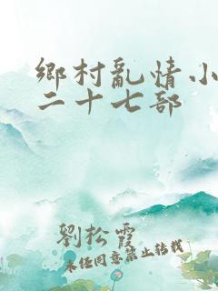 乡村乱情小雷第二十七部