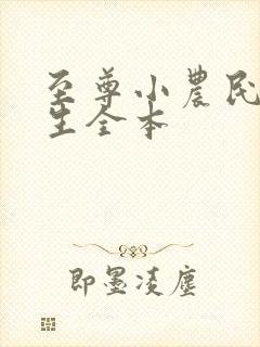 至尊小农民王木生全本