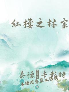 红楼之林家媳妇