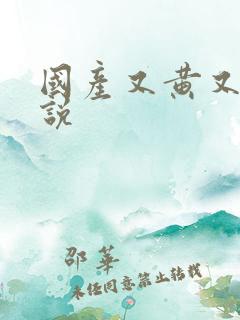 国产又黄又爽小说