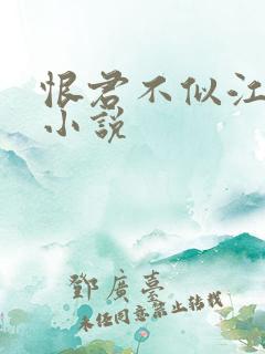 恨君不似江楼月小说
