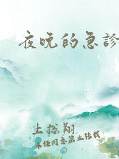 夜晚的急诊室2