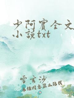 少阿宾全文阅读小说txt
