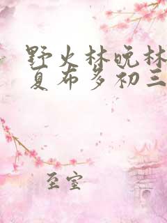 野火林晚林潮生夏布多初三边缘