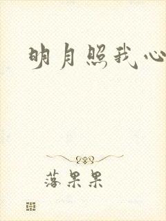 明月照我心小说
