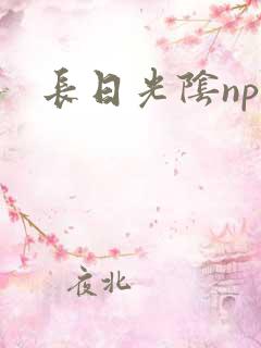 长日光阴np