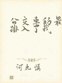 公交车的最后一排入了我