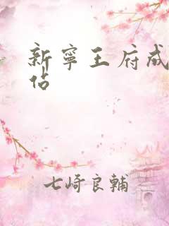 新宁王府成人网站