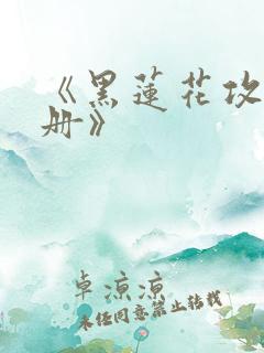 《黑莲花攻略手册》