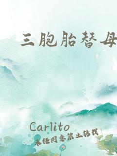 三胞胎替母寻夫