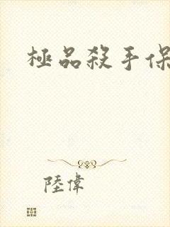 极品杀手保镖