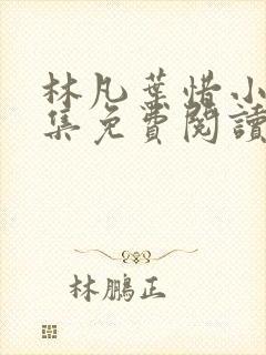 林凡叶惜小说全集免费阅读