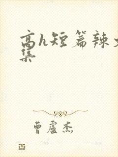 高h短篇辣文合集