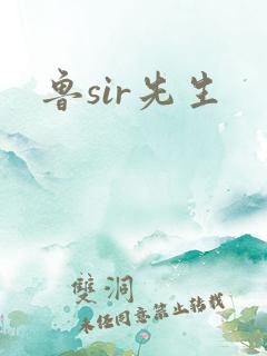 鲁sir先生