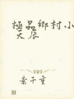 极品乡村小神医 天辰