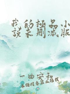 我的极品小姨小说未删减版