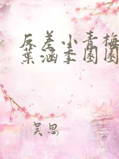 反差小青梅不经叶涵季园园