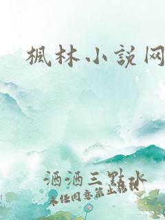 枫林小说网