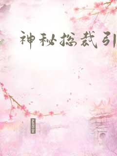 神秘总裁引入怀