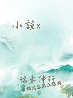 小说x