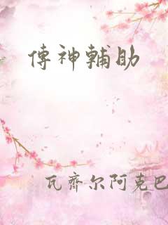 传神辅助