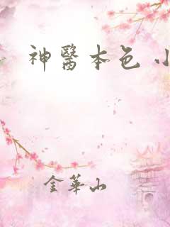 神医本色 小说