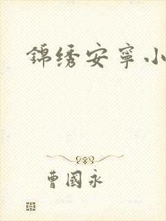 锦绣安宁小说