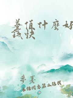 养值什么好养赚钱快