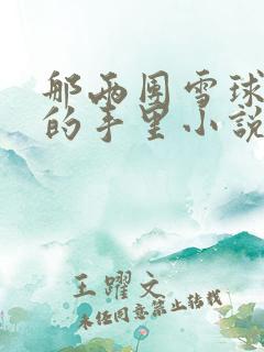 那两团雪球在他的手里小说