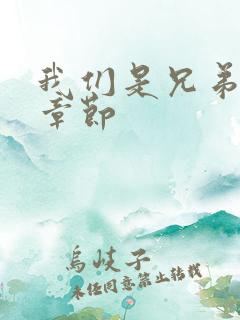 我们是兄弟最新章节