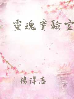 灵魂实验室