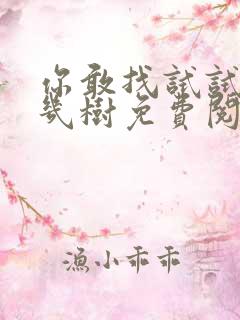 你敢找试试BY几树免费阅读