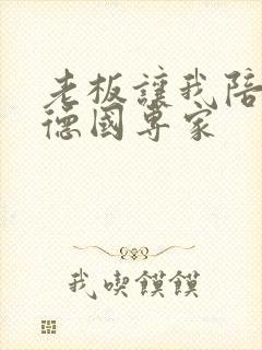 老板让我陪两个德国专家