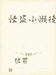 怪盗小懒后