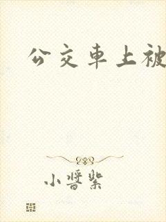 公交车上被插插