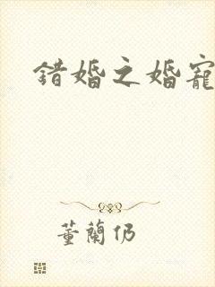 错婚之婚宠一世
