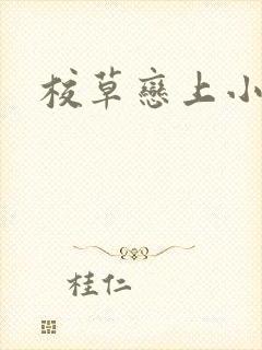 校草恋上小丫头