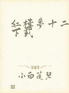 红楼梦十二金钗下载