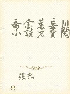 乔念叶妄川正版小说免费阅读